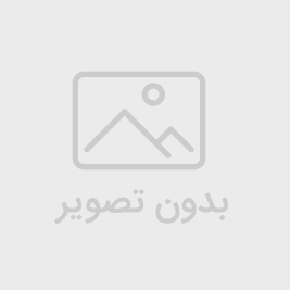 دیس بیضی مینی سانتا صورتی/12